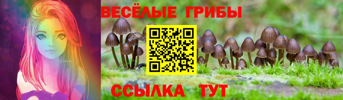 Псков  Галлюциногенные грибы Cubensis  наркота  Псилоцибиновые грибы GOLDEN TEACHER  Вход с VPN 